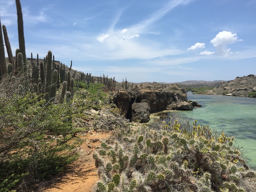 Cosa Fare a Curaçao