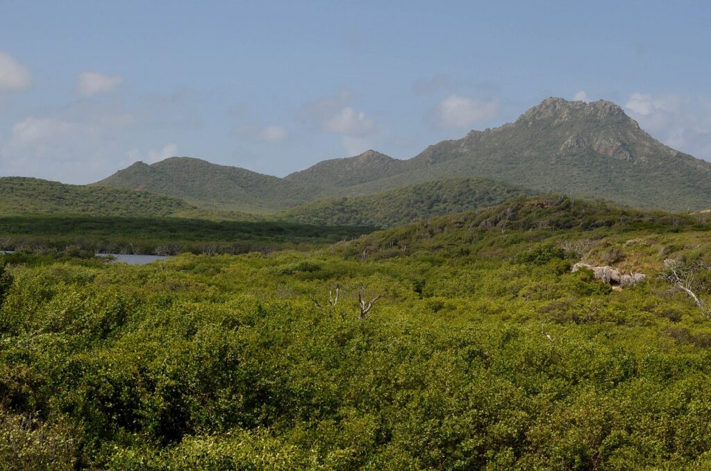 curacao Christoffel Park